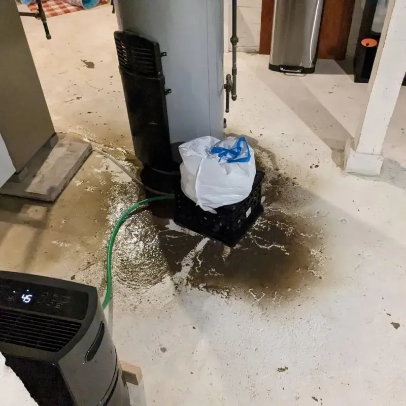 Sewage Backup Cleanup Service in Tell City, IN
